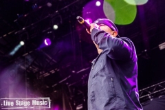 Bravalla-Festival-20150626_Wu-Tang-Clan-017