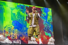 Lollapalooza2019_J-Balvin-a72