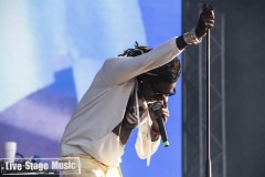 Lollapalooza2019_Young-Thug-a58